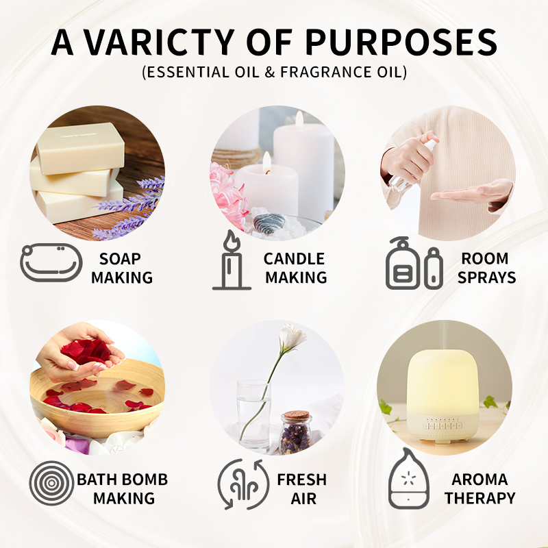 10 ミリリットルフレグランスオイル植物製造ディフューザーエ - Candle Making And Perfume のレビューと価格