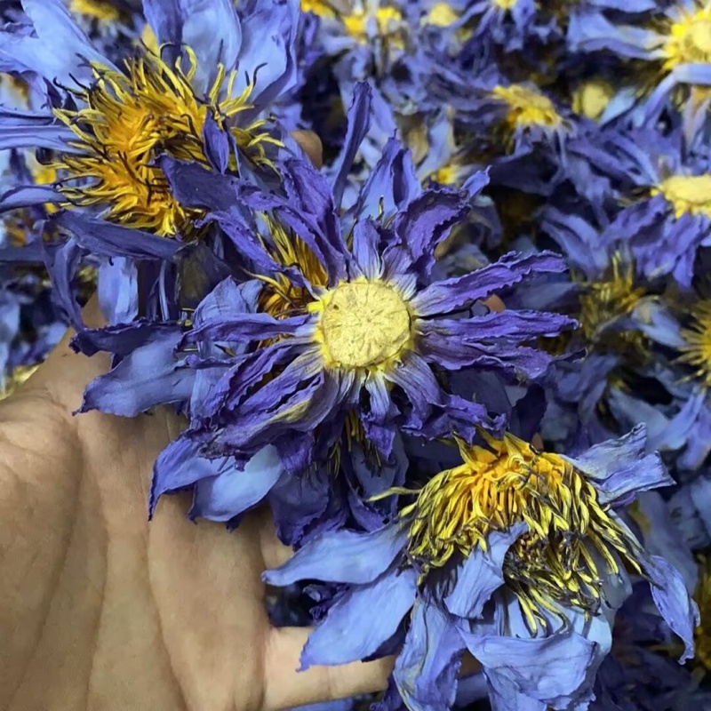天然蓮の花の香りのドライフラワー DIY 石鹸キャンドル作り - Candle Making And Perfume のレビューと価格