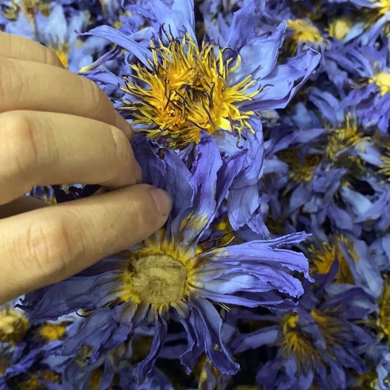 天然蓮の花の香りのドライフラワー DIY 石鹸キャンドル作り - Candle Making And Perfume のレビューと価格