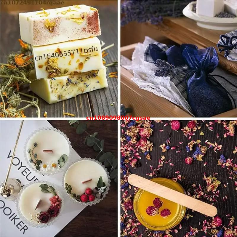 天然乾燥花素材 フェバーフィュー 白菊 - 石鹸作り、キャン - Candle Making And Perfume のレビューと価格